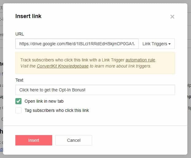 Insert The Opt-In Link File &Amp; Make Sure That The Open Link In New Tab Is Checked.