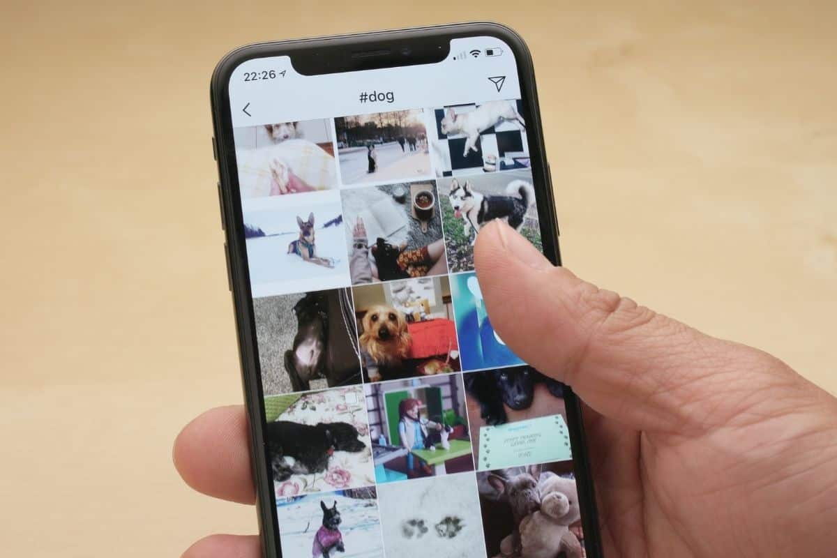 Ultimate Guide How To Use Hashtags On Instagram In 21