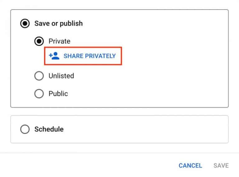 How To Share Private Videos On YouTube StepByStep Guide