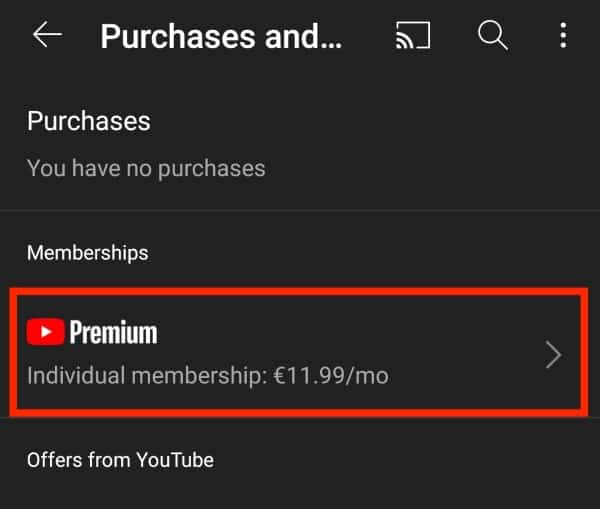 How To Toggle Your Youtube Premium Membership