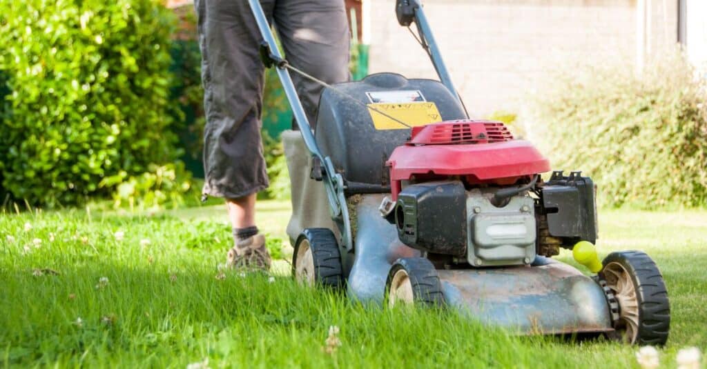 Make 500 Dollars A Week By Cutting Lawns