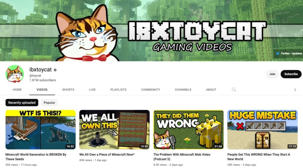 Ibxtoycat Is One Of The Most Popular Youtubers That Live In Las Vegas