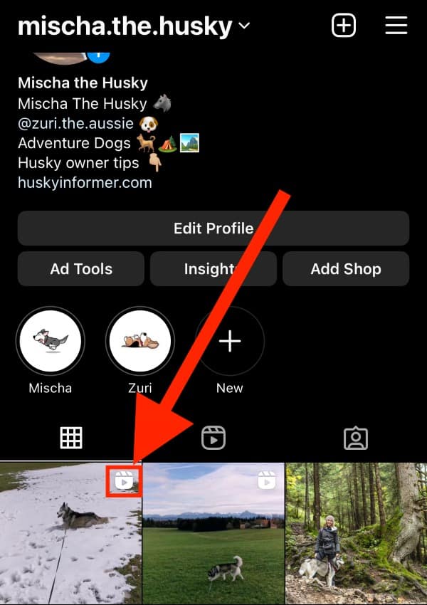 Instagram Reel Icon Shows Videos At A Glance