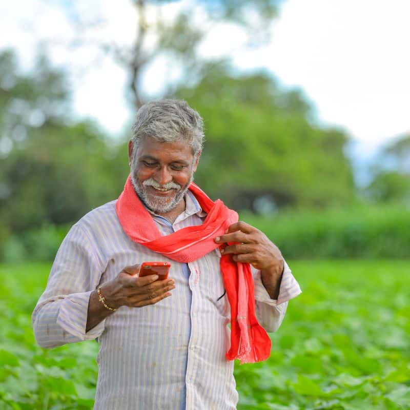 Man In A Field Looking At Phone