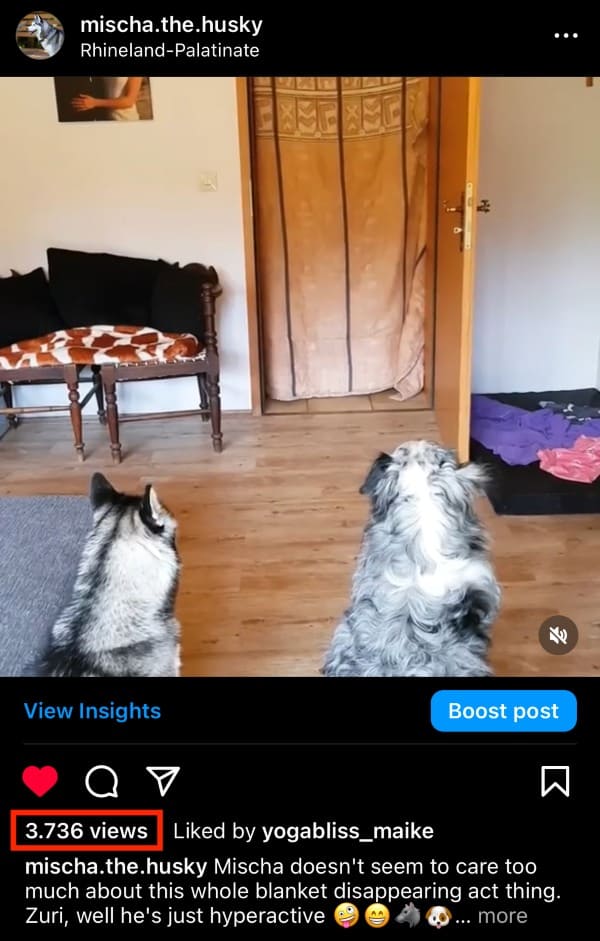 The Number Of Video Views Appear Beneath The Instagram Video