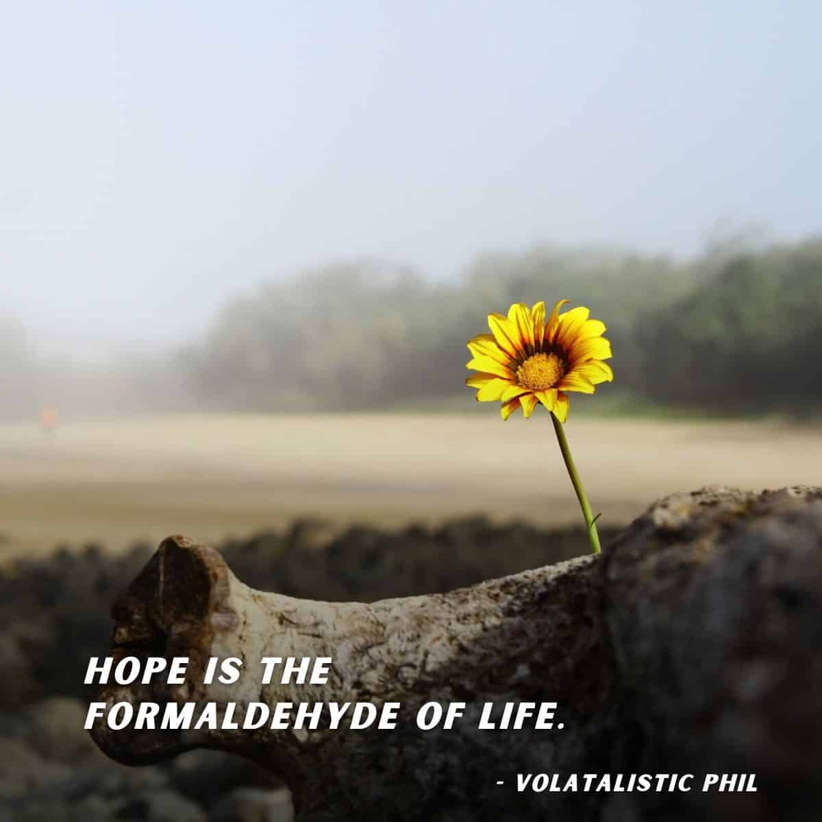 Hope is the formaldehyde of life