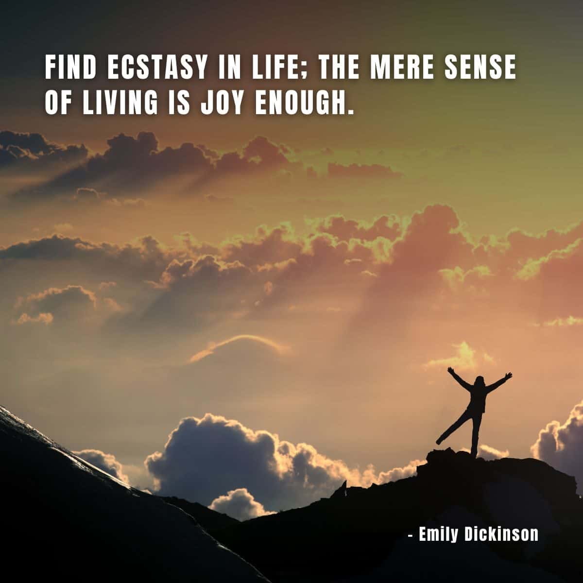 Find Ecstasy In Life; The Mere Sense Of Living Is Joy Enough