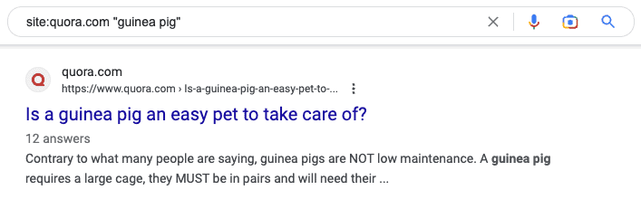 Quora Articles On Google For Guinea Pig